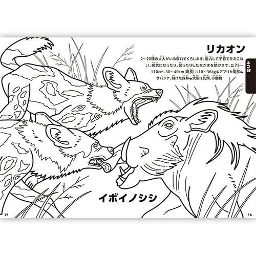 Mds Btob トーヨー ぬりえ 学べるぬりえ 動く図鑑move 動物 お店の業種からさがす 文具 雑貨の卸 仕入れサイトmdsbtob Mds Btob トーヨー ぬりえ 学べるぬりえ 動く図鑑move 動物 お店の業種からさがす 文具 雑貨の卸 仕入れサイトmdsbtob