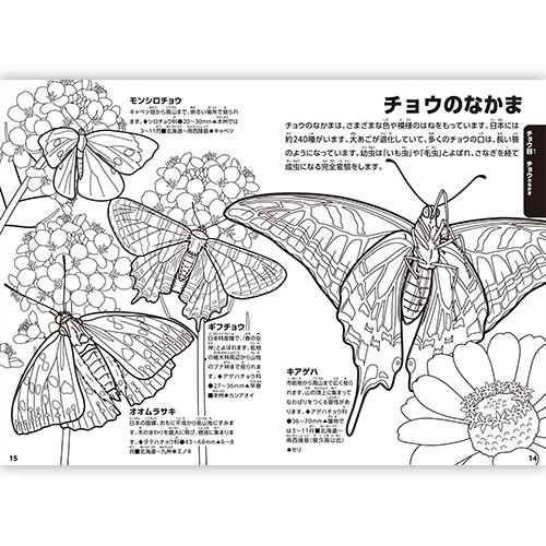 Mds Btob トーヨー ぬりえ 学べるぬりえ 動く図鑑move 昆虫 309091 お店の業種からさがす 文具 雑貨の卸 仕入れサイトmdsbtob