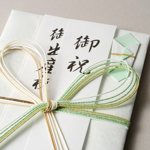 MDS BtoB |#エヌビー社 祝儀 御祝儀袋 御祝 ひすい色Ａ 5979516: お店