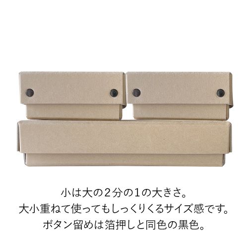 SRB 同梱可 箱説明書のみ ザ・キング かきむしっ オブ