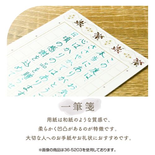 面白 便利なグッズ 和紙のイシカワ インクジェット用水彩紙 A3判 10枚