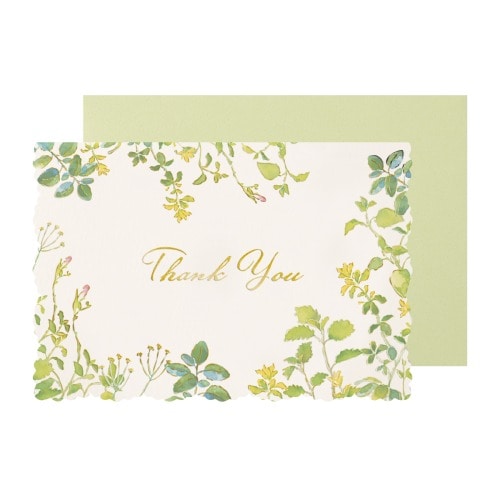 #包む カード サンキューカード  グリーンガーデン TC0H8