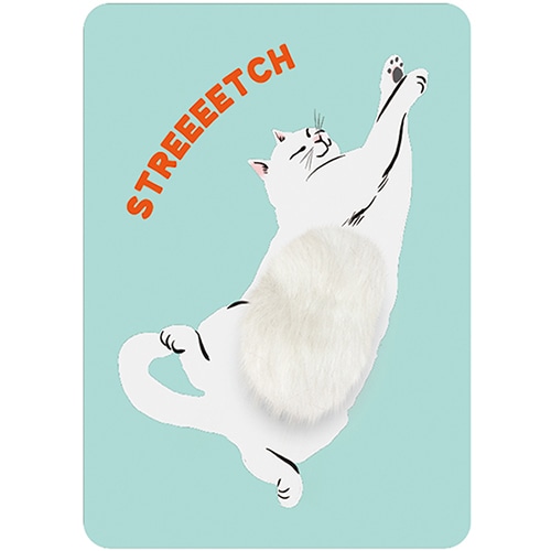 #グリーティングライフ(国内販売のみ） カード なでなでポストカード  シロ EC-40