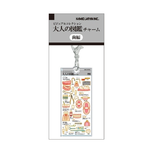 #カミオジャパン キーホルダー 大人の図鑑チャーム  歯 233965