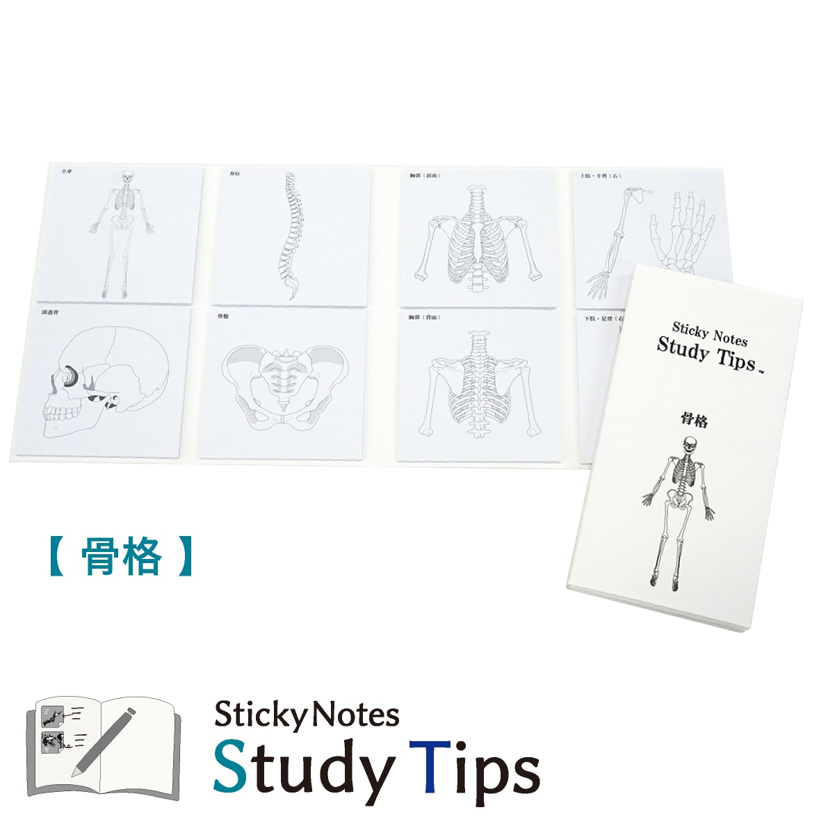 #紙季彩々 Sticky Notes Study Tips 骨格 20枚綴り(8柄) ホワイト FS-SST006