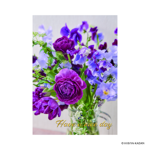 #ダイゴー(国内販売のみ） カード ポストカード5･Have･a･niceday  1 N7856