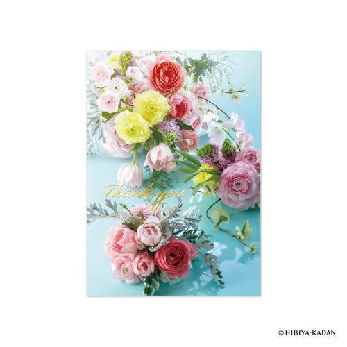 #ダイゴー レター ポストカード6 4 Thankyou N7871