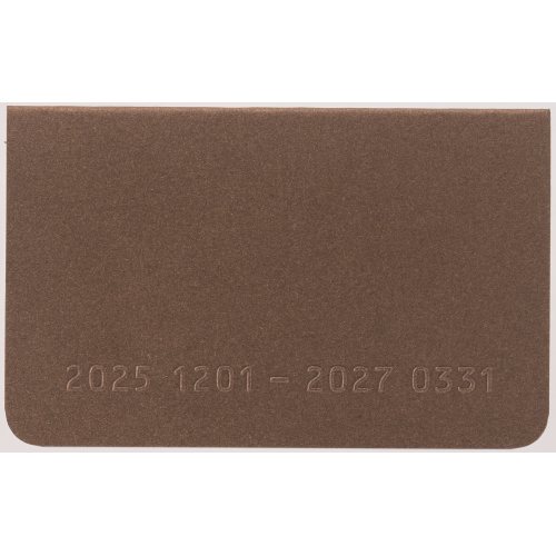 #レイメイ藤井 ダイアリー 26カードサイズダイアリー  12月はじまり ブロンズ RFD2613C