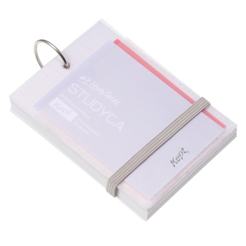 #レイメイ藤井 メモ Kept･STUDYCA  グレー KP1394N