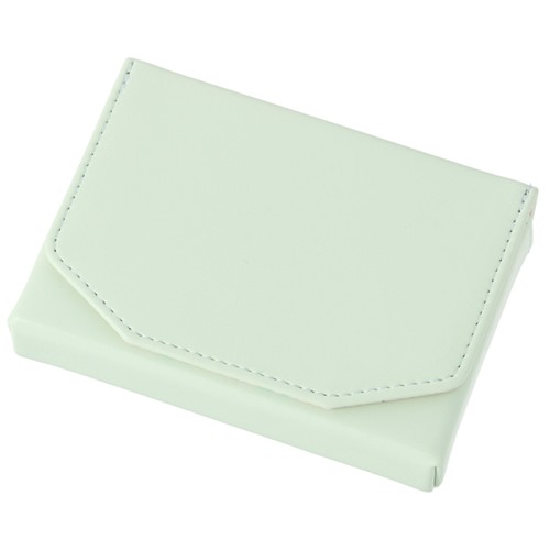#レイメイ藤井 身辺雑貨 ノフェス･ネームカードケース  アイスグリーン NSN1453M