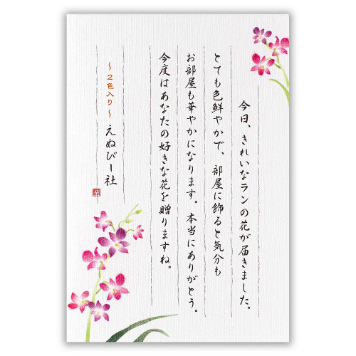 #エヌビー社 レター はがき箋　伝えるきもち  デンファレＢ 5301729