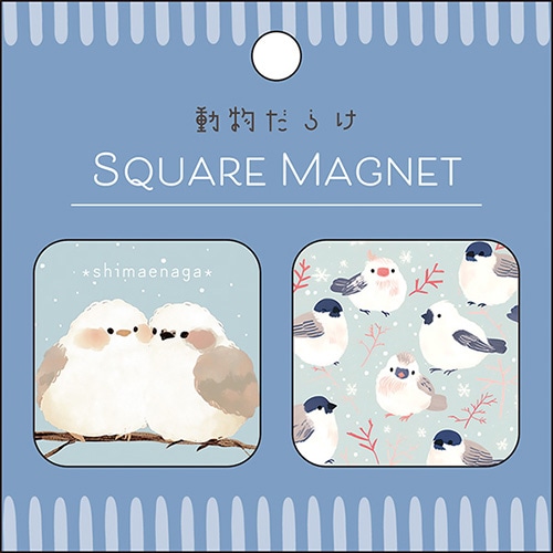 #パインブック 事務小物 缶マグネット･動物だらけ  とり k604014