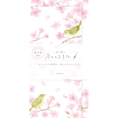 #古川紙工 レター 今日のお手紙  サクラとウグイス LIK55