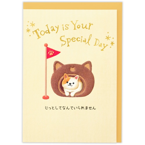 #日本ホールマーク(国内販売のみ） カード 立体バースデー 箔加工,エンボス加工 キャットタワー遊び 852900