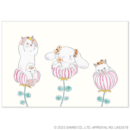 #アクティブコーポレーション(国内販売のみ） カード トコロコムギ×サンリオコラボ　ポストカード   M01-PPA-237