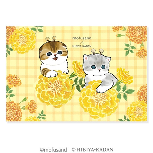 #アクティブCO(国内販売のみ） カード mofusand×日比谷花壇 ポストカード  マリーゴールド M09-PPA-323