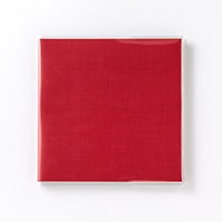 #いろは出版 アルバム 4 you color album 8ページ red GA4-01