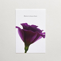 #スコープ カード ポストカード Flower  トルコギキョウ 04267