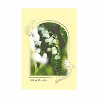 #RYURYU カード 透明カード  スズラン TOC15
