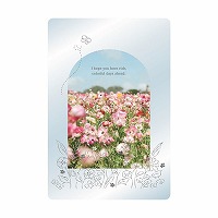 #RYURYU カード 透明カード  お花畑 TOC16