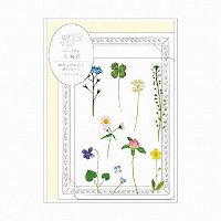 #RYURYU カード 草木花 押し花の透明カード  ノノハナ SMTC02