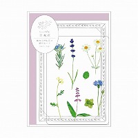 #RYURYU カード 草木花 押し花の透明カード  ハーブ SMTC04