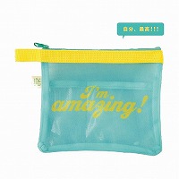 #RYURYU 身辺雑貨 チアミーアップメッシュポーチ L ミント CMPL03