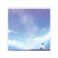 #包む 色紙 色紙  夜空と星々 TS048