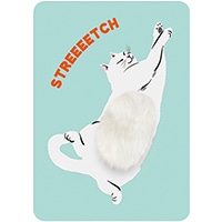 #グリーティングライフ(国内販売のみ） カード なでなでポストカード  シロ EC-40