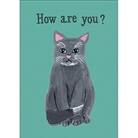 #グリーティングライフ(国内販売のみ） ノート キャットアンドノート A5･方眼･64ページ グリーン SDN-54