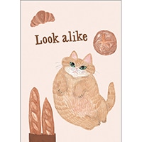 #グリーティングライフ(国内販売のみ） ノート キャットアンドノート A5･方眼･64ページ ベージュ SDN-55