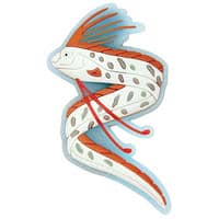 #ワールド商事 生活雑貨 アクアチックラバーマグネット  リュウグウノツカイ 152598