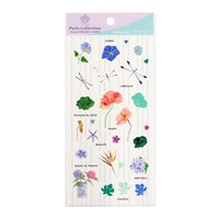 #カミイソ産商(国内販売のみ） シール SAIENシール  Stickers ?T? new J-0307
