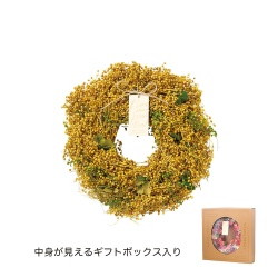 #ケー・イー・アイ ナチュラルリース ナチュラルリース M  ミモザ風 5181-B