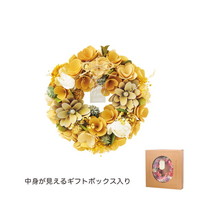#ケー・イー・アイ ナチュラルリース ナチュラルリース M  レモンクリーム 5369-B