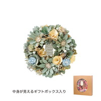 #ケー・イー・アイ ナチュラルリース ナチュラルリース M  グリーンブリーズ 5372-B