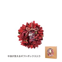 #ケー・イー・アイ ナチュラルリース ナチュラルリース SS  ブライトレッド 5380-D