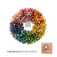 #ケー・イー・アイ ナチュラルリース ナチュラルリース L  レボリューション 5384-A