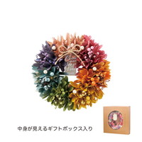 #ケー・イー・アイ ナチュラルリース ナチュラルリース M  レボリューション 5384-B