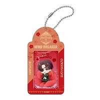 MDS BtoB |#アイアップ(国内販売のみ） カードケース WIND