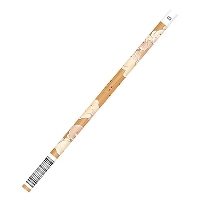 #カミオジャパン 鉛筆 木の鉛筆B  クマナモフモフ 219199