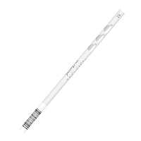 #カミオジャパン 鉛筆 ジューシーな鉛筆2B  サカバンバスピス 220011