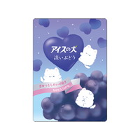 #クラックス 筆記小物 アイスポップ下敷き  アイスノイヌ 131707
