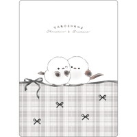 #クラックス 筆記関連小物 下敷き  タロチャンズ／シマタロズ 133715