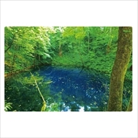 #いろは出版 季節ポストカード 日本の絶景ポストカード夏 定型サイズ 白神山地の青池 JPC-12