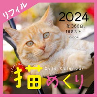 #中央経済社 カレンダー 猫めくり 2024年 カレンダー リフィル 日めくり   CK-C24-02