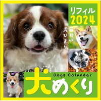 #中央経済社 カレンダー 犬めくり 2024年 カレンダー リフィル 日めくり   CK-D24-02