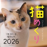 #中央経済社 日めくりカレンダー 猫めくり2026   CK-C26-01