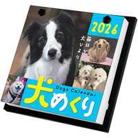 #中央経済社 日めくりカレンダー 犬めくり2026   CK-D26-01