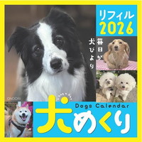 #中央経済社 日めくりカレンダー 犬めくりリフィル26   CK-D26-02